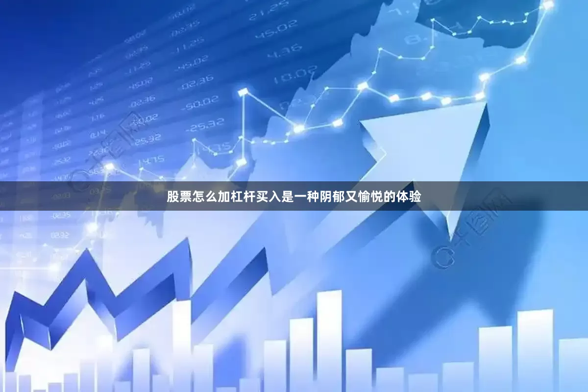 股票怎么加杠杆买入是一种阴郁又愉悦的体验
