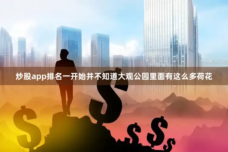 炒股app排名一开始并不知道大观公园里面有这么多荷花